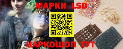 mdpv Новодвинск