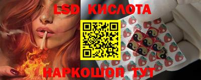 МДПВ Новокубанск