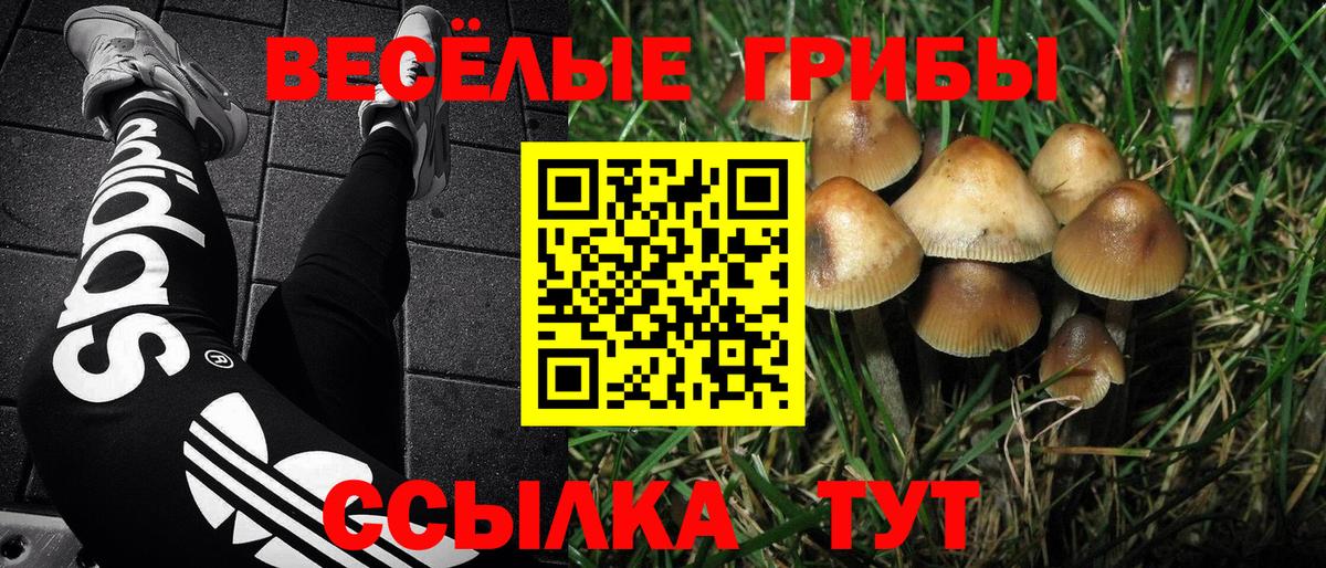 Галлюциногенные грибы ЛСД Пугачёв